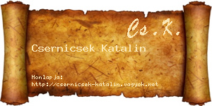 Csernicsek Katalin névjegykártya
